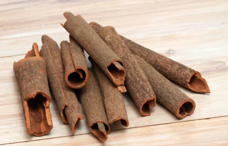 Cinnamomum