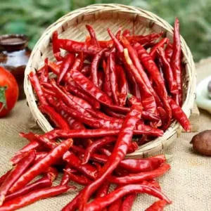 Red Dry Chilli